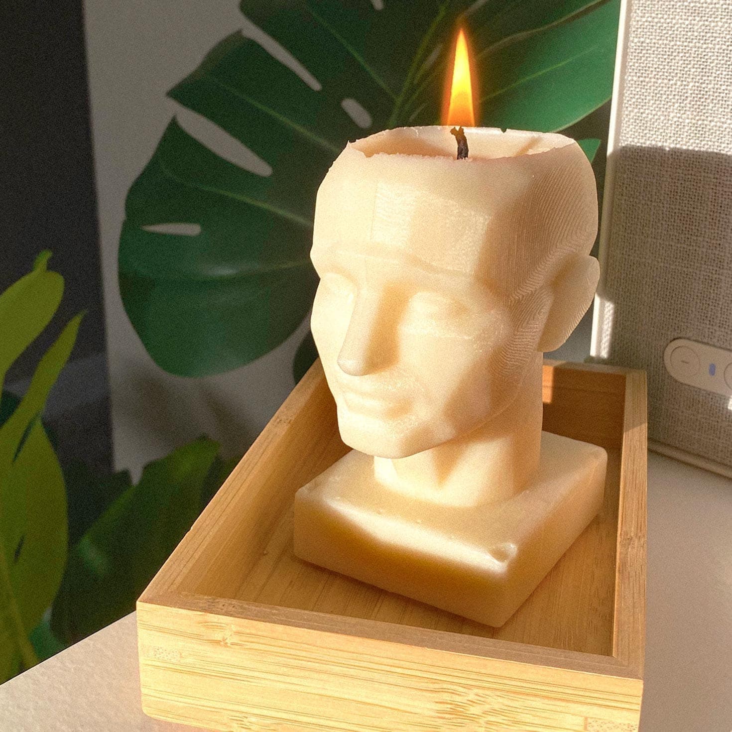 Mold Studios asset 6